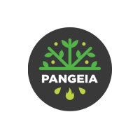 pangeia